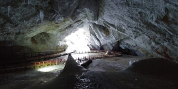 QR-код менший за пил, ШІ-перекладач для Папи Римського та бактерії, що ігнорують антибіотики