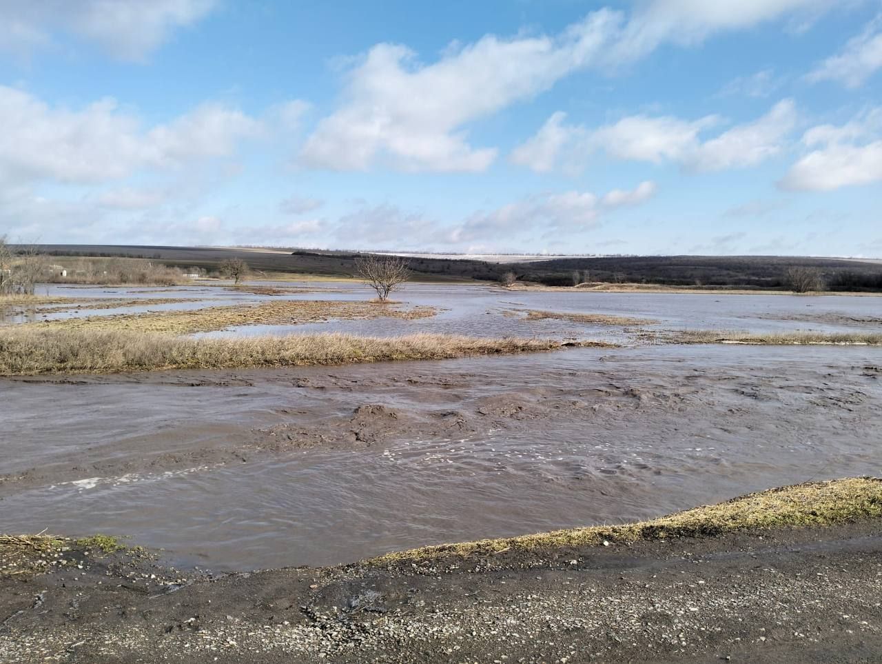 photo_2026-02-16_15-38-12 (2).jpg