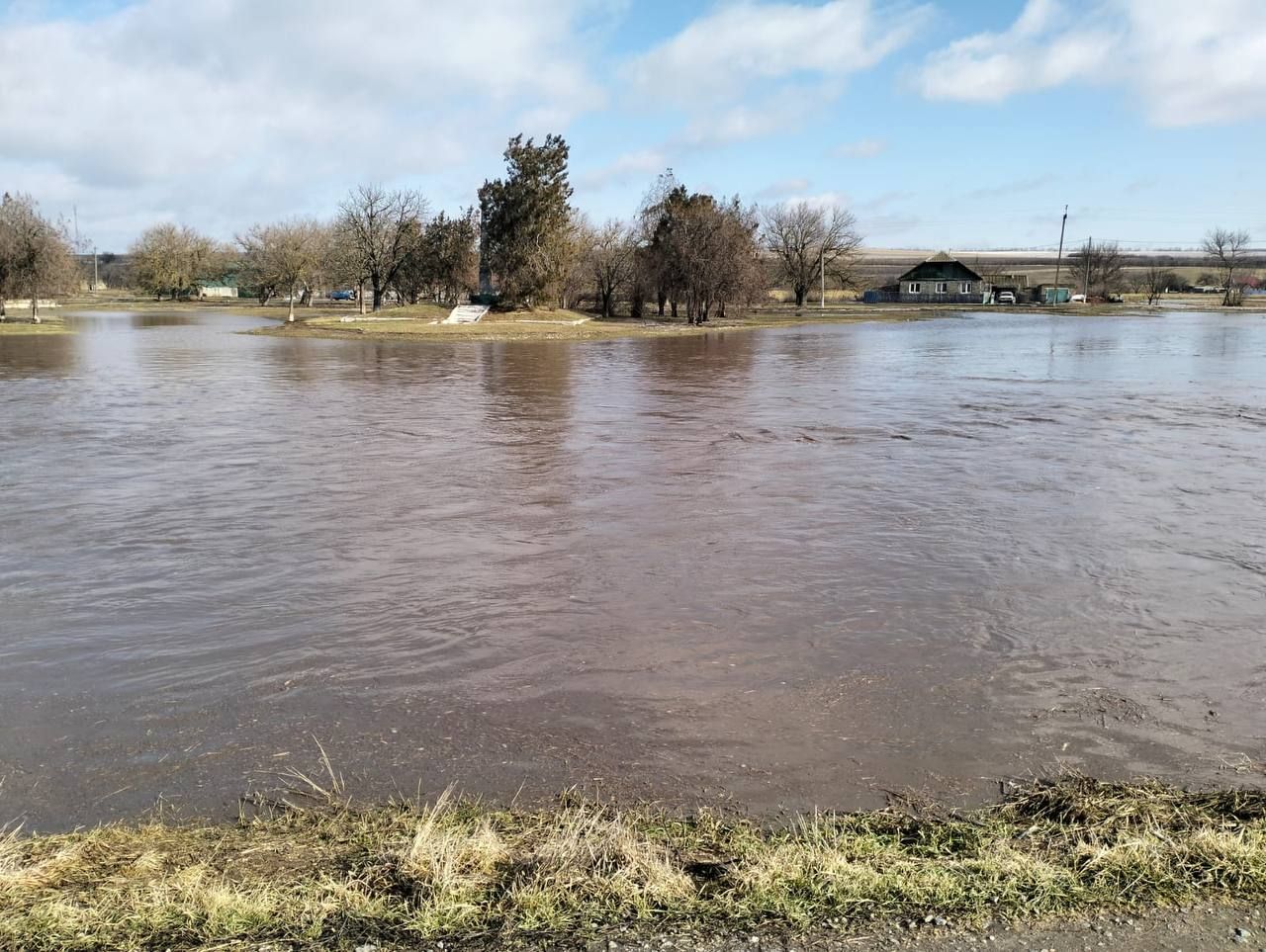 photo_2026-02-16_15-38-13 (2).jpg