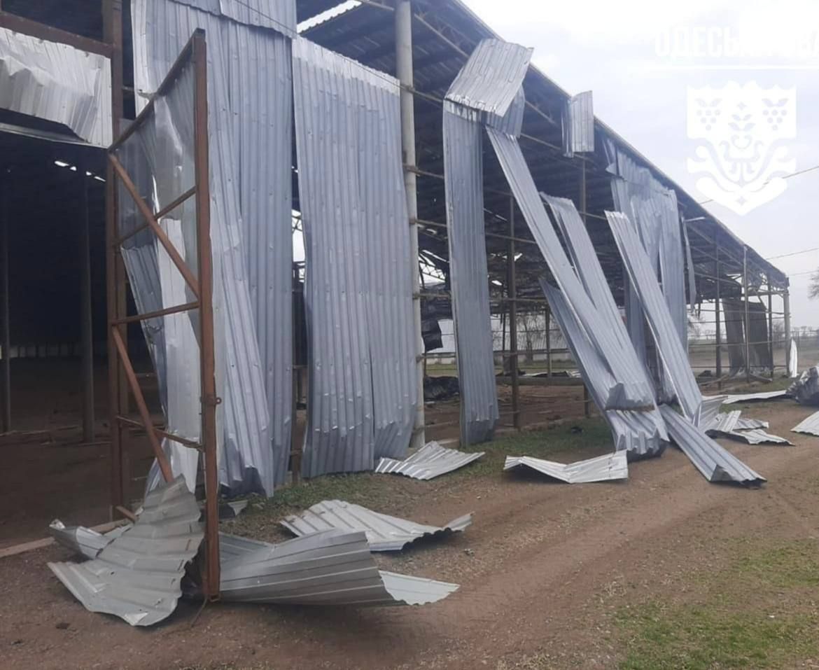 photo_2026-03-23_11-21-05 (2).jpg