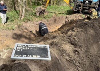 Під час пошукових робіт на Волині виявили масове поховання 1943 року — польський Інститут нацпам’яті