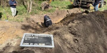 Під час пошукових робіт на Волині виявили масове поховання 1943 року — польський Інститут нацпам’яті