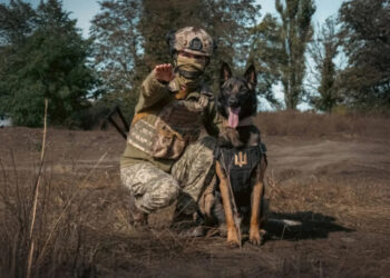 У Міноборони пояснили, які завдання виконує кінологічна служба ЗСУ