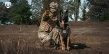 У Міноборони пояснили, які завдання виконує кінологічна служба ЗСУ