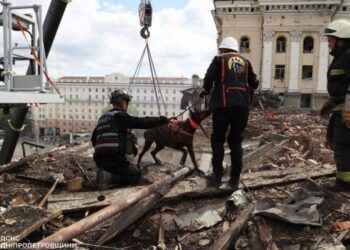 Холодний ніс, хоробре серце