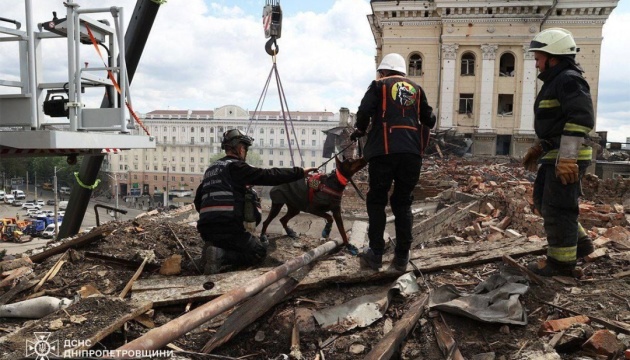 Холодний ніс, хоробре серце