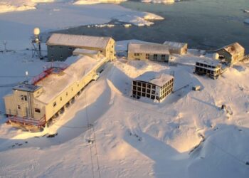 Українські полярники показали підводну зустріч з морським леопардом