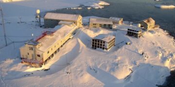 Українські полярники показали підводну зустріч з морським леопардом