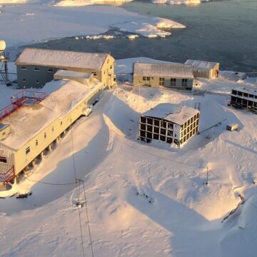 Українські полярники показали підводну зустріч з морським леопардом