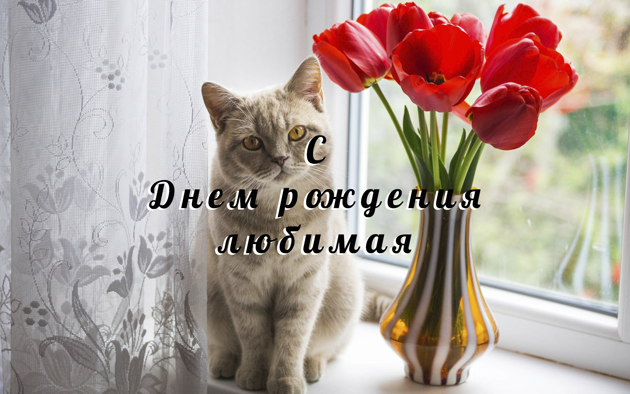 открытка на день рождения женщине самая красивая с котиком