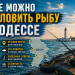 Где ловить рыбу в Одессе