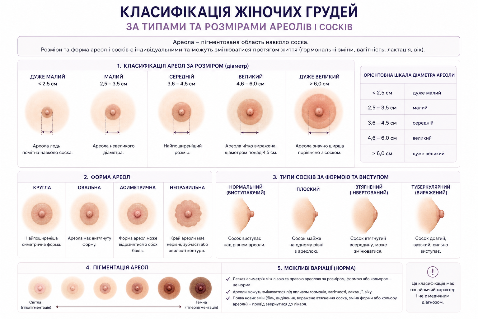 Класифікація розмірів жіночих грудей за формою ареолів та соска