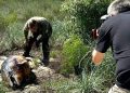 Німецькі журналісти відвідали Тузлівські лимани через екологічні наслідки війни — Главные Одесские новости онлайн. Последние новости Одессы за сегодня