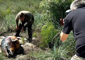 Німецькі журналісти відвідали Тузлівські лимани через екологічні наслідки війни — Главные Одесские новости онлайн. Последние новости Одессы за сегодня