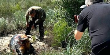 Німецькі журналісти відвідали Тузлівські лимани через екологічні наслідки війни — Главные Одесские новости онлайн. Последние новости Одессы за сегодня