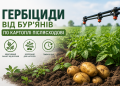 Повний гайд по післясходових гербіцидах для картоплі