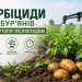 Повний гайд по післясходових гербіцидах для картоплі