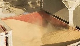 У портах Одещини розслідують масштабну схему експорту зерна: БЕБ заявляє про збитки на понад 510 млн грн — Главные Одесские новости онлайн. Последние новости Одессы за сегодня