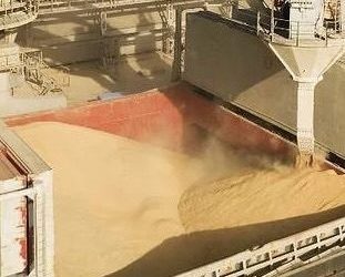 У портах Одещини розслідують масштабну схему експорту зерна: БЕБ заявляє про збитки на понад 510 млн грн — Главные Одесские новости онлайн. Последние новости Одессы за сегодня