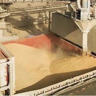 У портах Одещини розслідують масштабну схему експорту зерна: БЕБ заявляє про збитки на понад 510 млн грн — Главные Одесские новости онлайн. Последние новости Одессы за сегодня