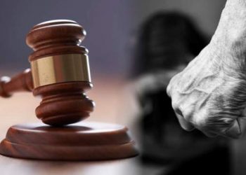 Житель Миколаївщини катував дітей через город ::