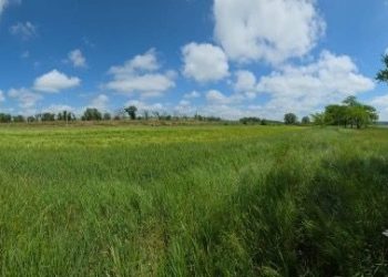 На Одещині чоловіка підозрюють у незаконному захопленні понад 1,4 га землі — Главные Одесские новости онлайн. Последние новости Одессы за сегодня